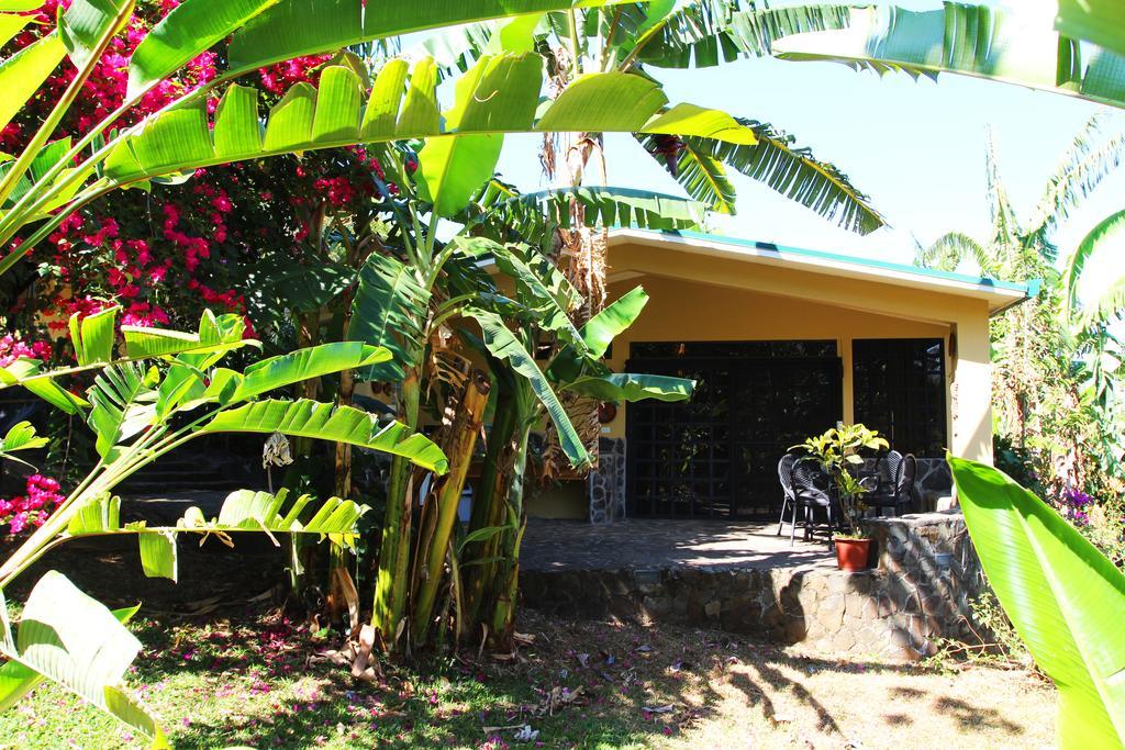 Pura Vida Hotel Alajuela Exterior photo